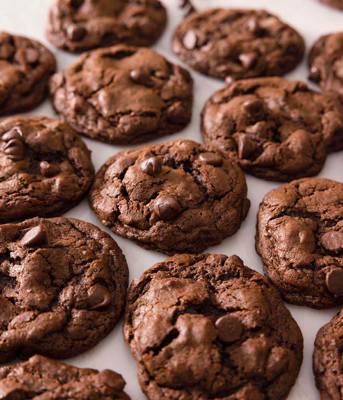 double chocolate chip cookies